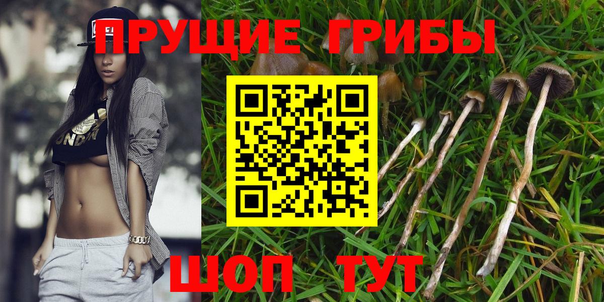 Псилоцибиновые грибы MAGIC MUSHROOMS  Вход с VPN  Новый Уренгой 