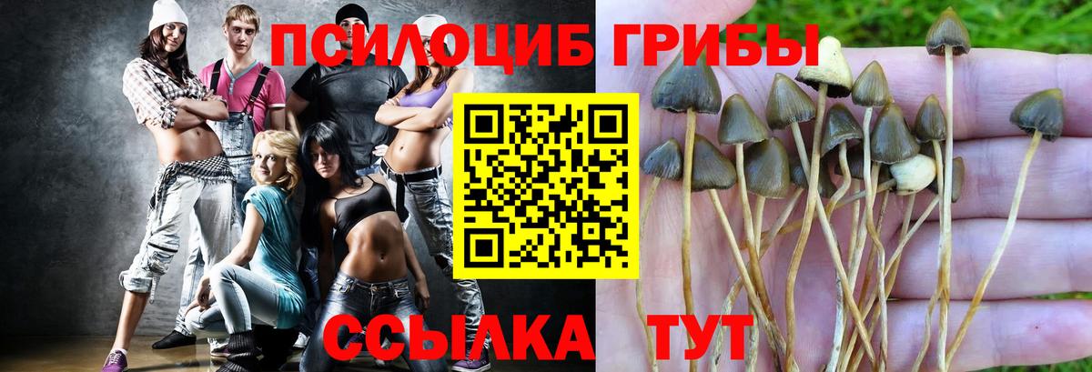 Галлюциногенные грибы Magic Shrooms Новый Уренгой